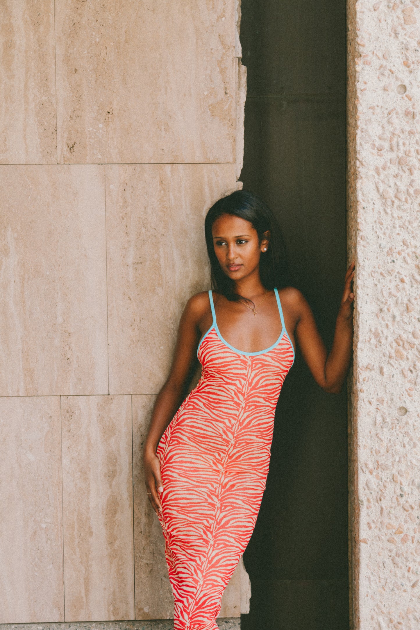 SLIP DRESS - ZEBRA MESH